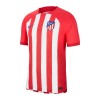 Maglia ufficiale Atlético Madrid Casa 2023-24 per Uomo